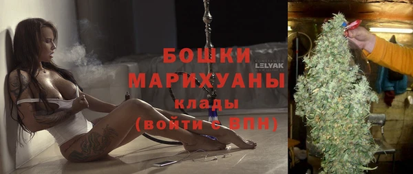 хмурый Верея