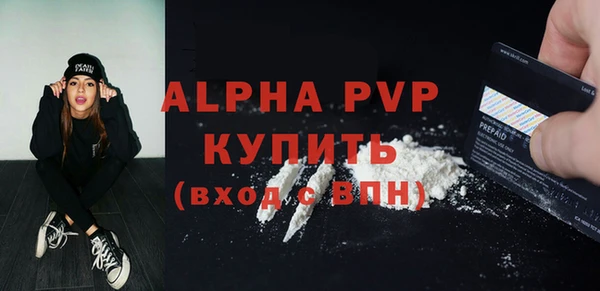 хмурый Верея