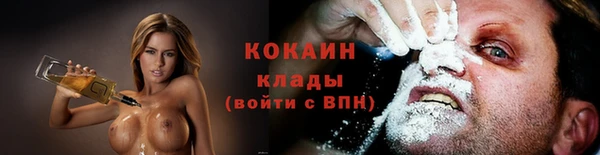 мдпв Волоколамск