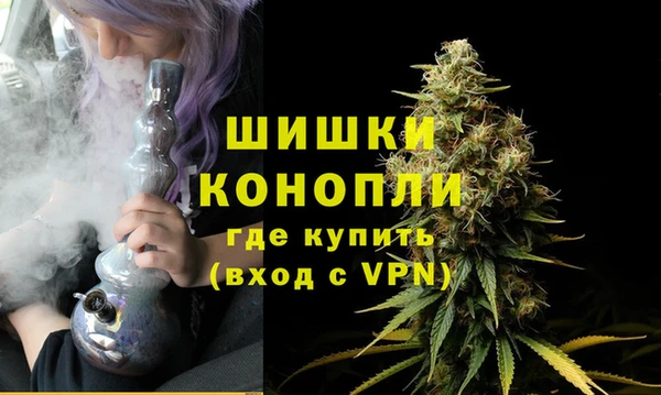 хмурый Верея
