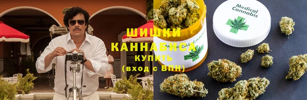 хмурый Верея