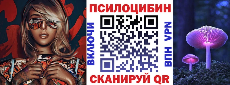 купить наркотики цена  Истра  Псилоцибиновые грибы мицелий 
